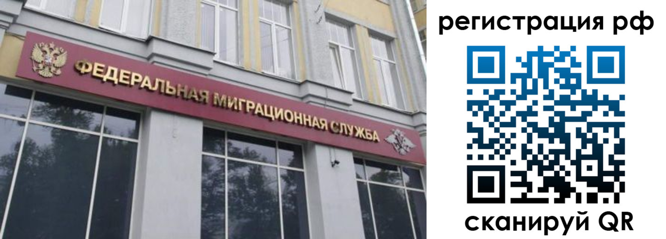 прописка законно в Сельцо